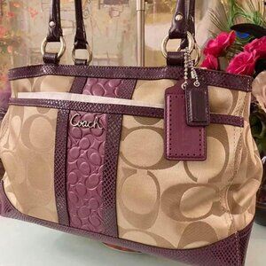 Coach Park Signature Stripe Carryall Tote Satchel Handbag Purse Sateen Snakeskin